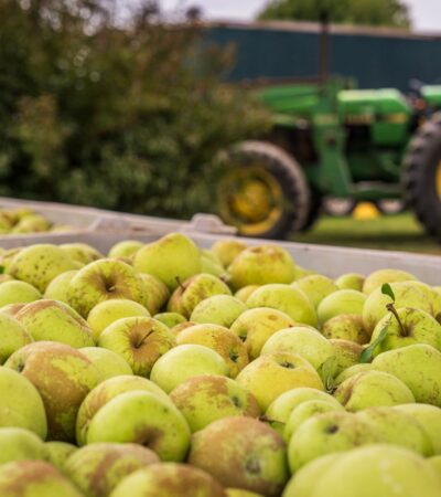 Simpler, clearer, more effective RSE scheme - Photo by Mark Stebnicki on Pexels