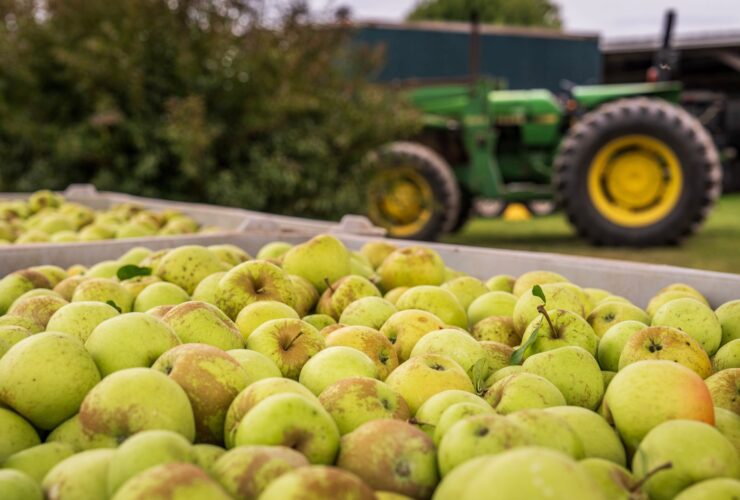 Simpler, clearer, more effective RSE scheme - Photo by Mark Stebnicki on Pexels