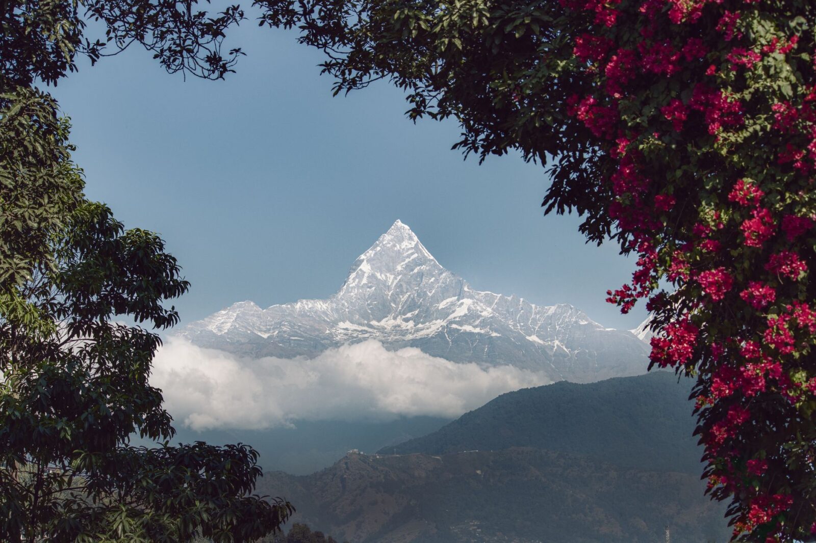 Best Himalayan Trekking Routes for Beginners - Photo by Harsh Suthar on Pexels