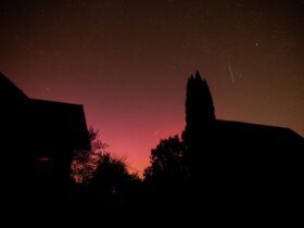 United Kingdom Partners with United States and More Countries as Perseid Meteor Shower Lights Up August Skies: Exclusive - Photo by Maciej on Pexels
