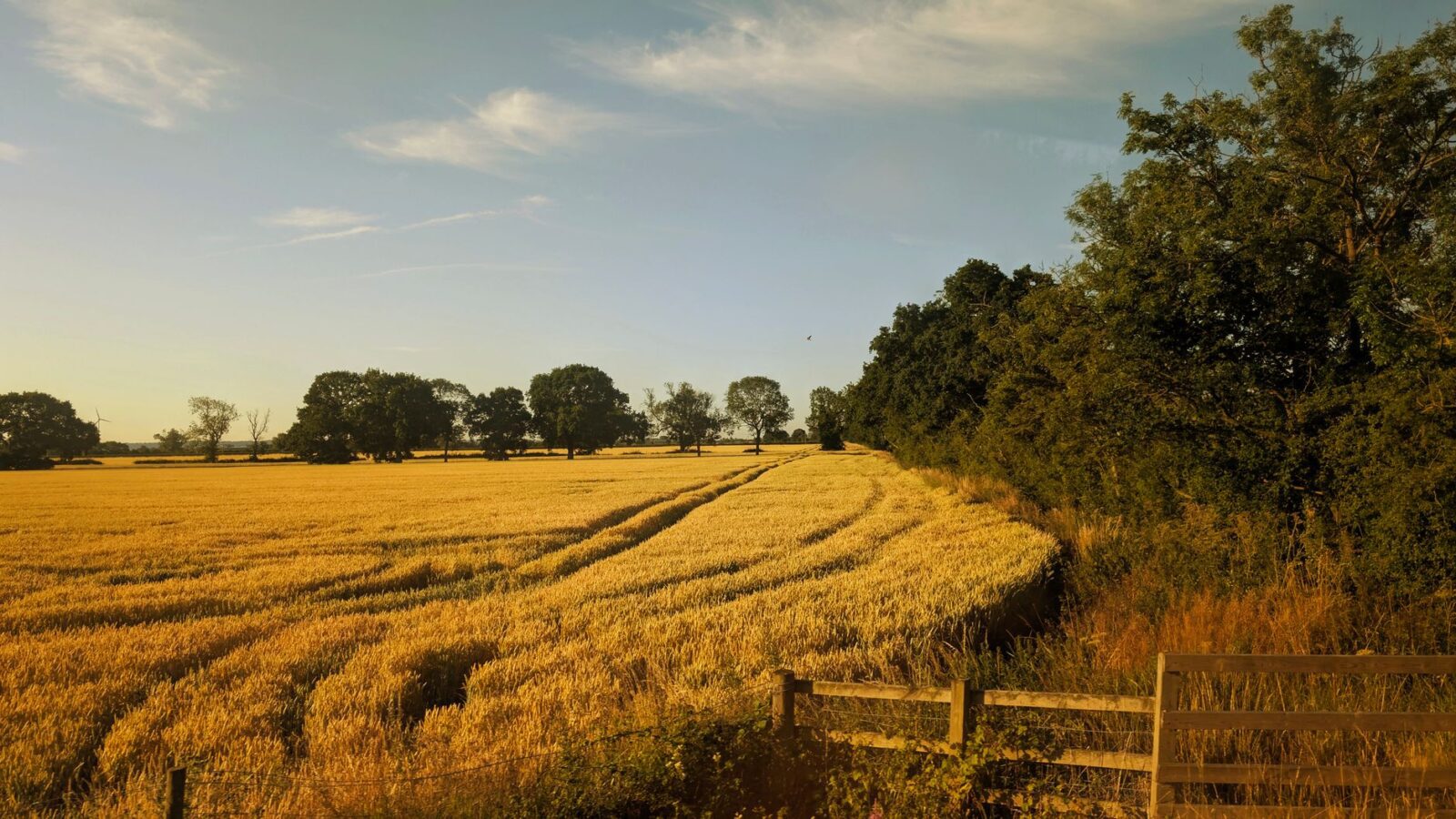 PM: Farmers should not carry the risk of a changing climate alone - Photo by Amos Adejimi on Pexels