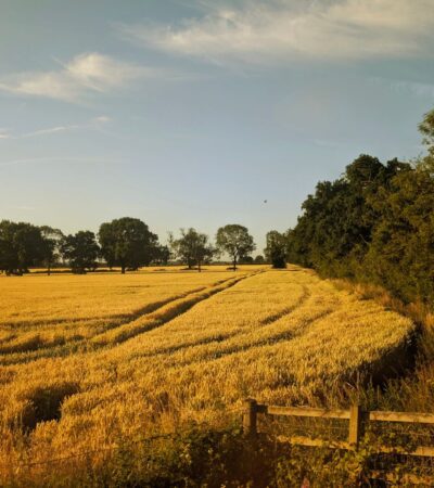 PM: Farmers should not carry the risk of a changing climate alone - Photo by Amos Adejimi on Pexels
