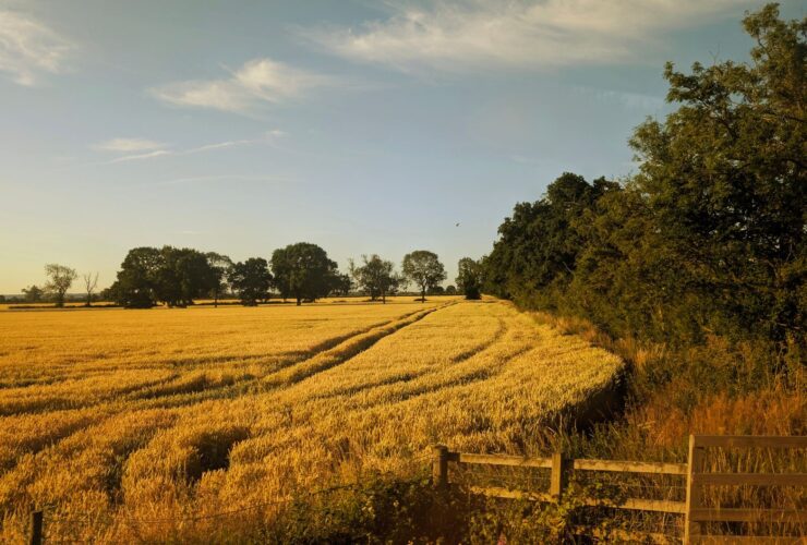 PM: Farmers should not carry the risk of a changing climate alone - Photo by Amos Adejimi on Pexels