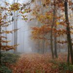 best places to visit october - Photo by Karel Drozda on Pexels