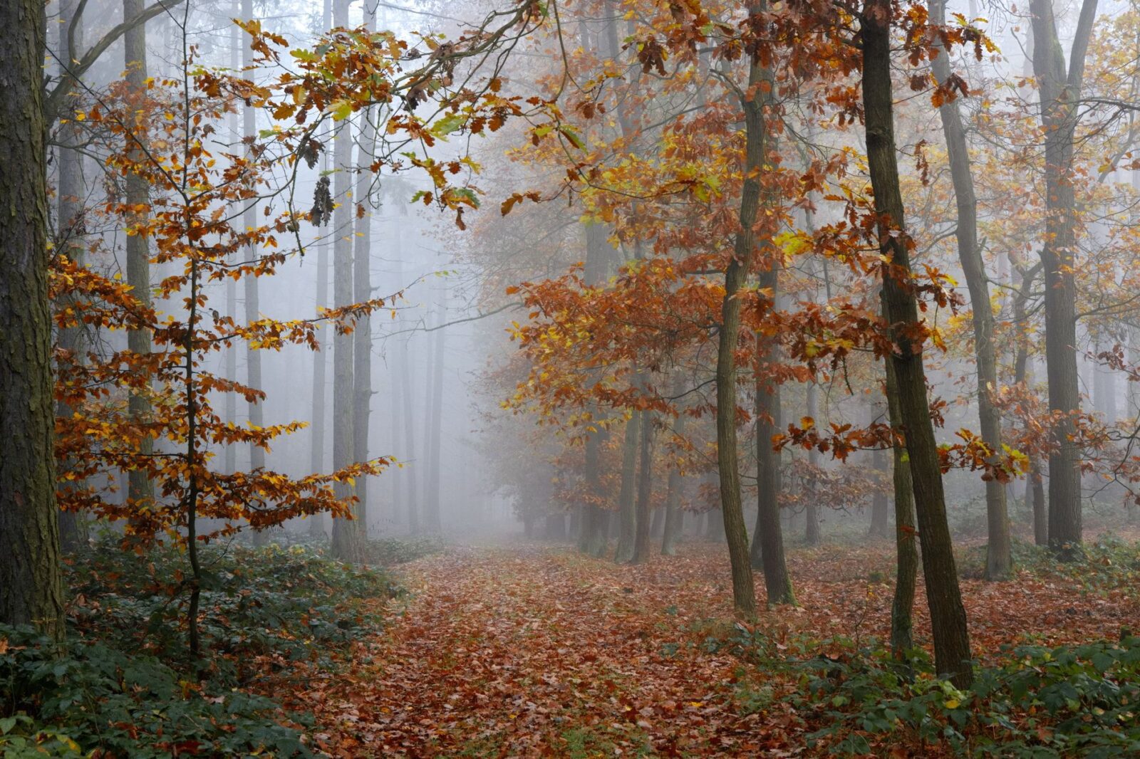 best places to visit october - Photo by Karel Drozda on Pexels