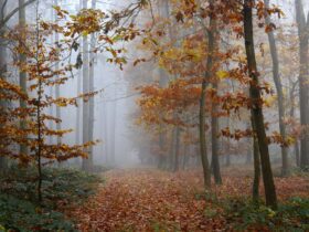 best places to visit october - Photo by Karel Drozda on Pexels