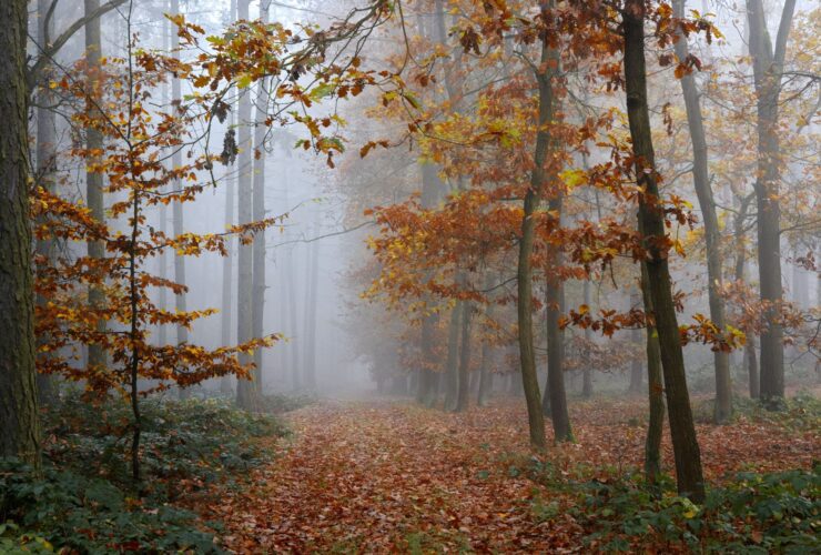 best places to visit october - Photo by Karel Drozda on Pexels