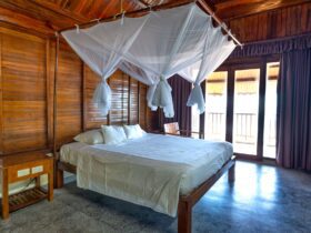 Level 2 - Zika in Indonesia - Photo by Quang Nguyen Vinh on Pexels