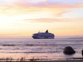 cruises - Photo by Valeria Boltneva on Pexels