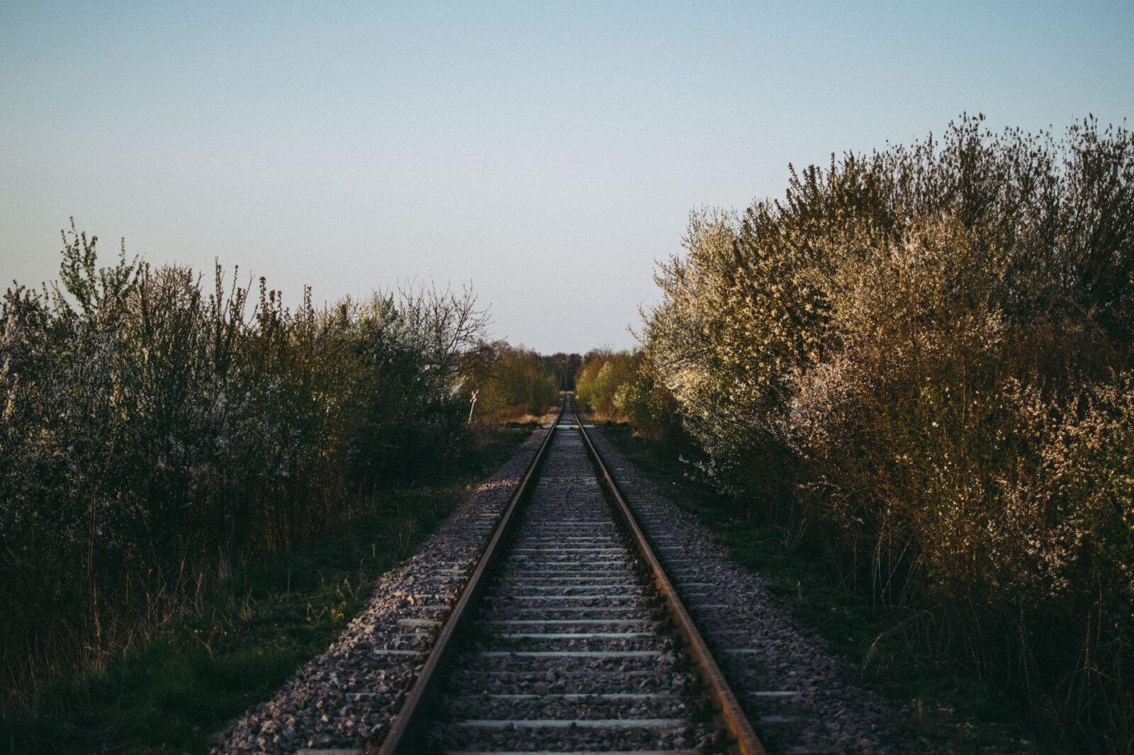 More passengers across Yorkshire to benefit from digital pay-as-you-go - Photo by Mikołaj Kołodziejczyk on Pexels