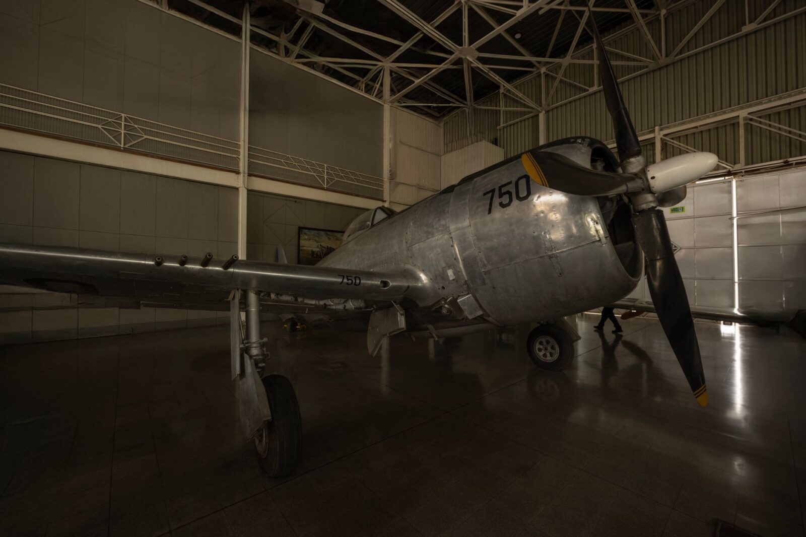 I toured the 'Miracle on the Hudson' plane — here’s what surprised me - Photo by Miguel Cuenca on Pexels