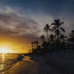 maldives visa on arrival - Photo by Matheus Bertelli on Pexels