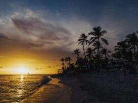 maldives visa on arrival - Photo by Matheus Bertelli on Pexels