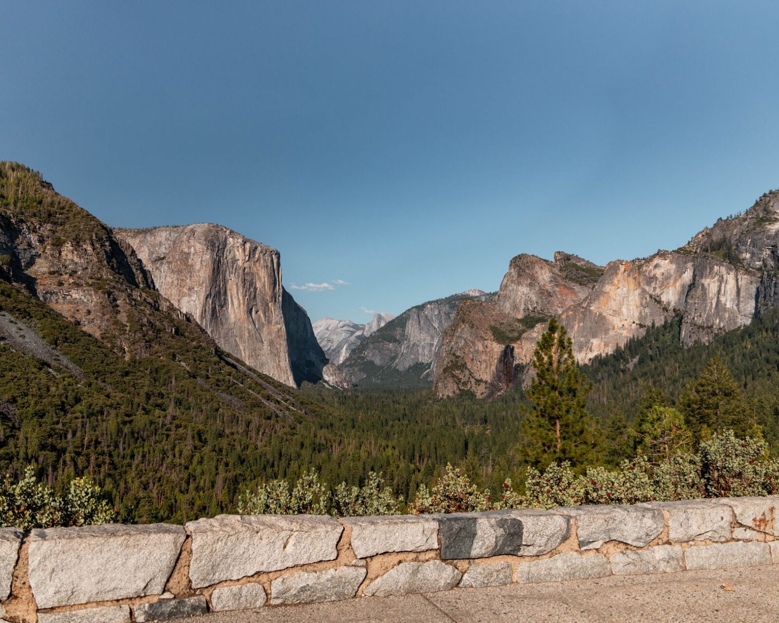 Amtrak Vacations Unveils Major National Park Savings Across Iconic US Destinations - Photo by Roberto on Pexels