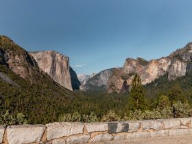 Amtrak Vacations Unveils Major National Park Savings Across Iconic US Destinations - Photo by Roberto on Pexels