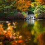 Don’t Rush From the Airport in Canada – Hamilton and More Could Become the Highlight of Your Trip - Photo by Skyler Ewing on Pexels