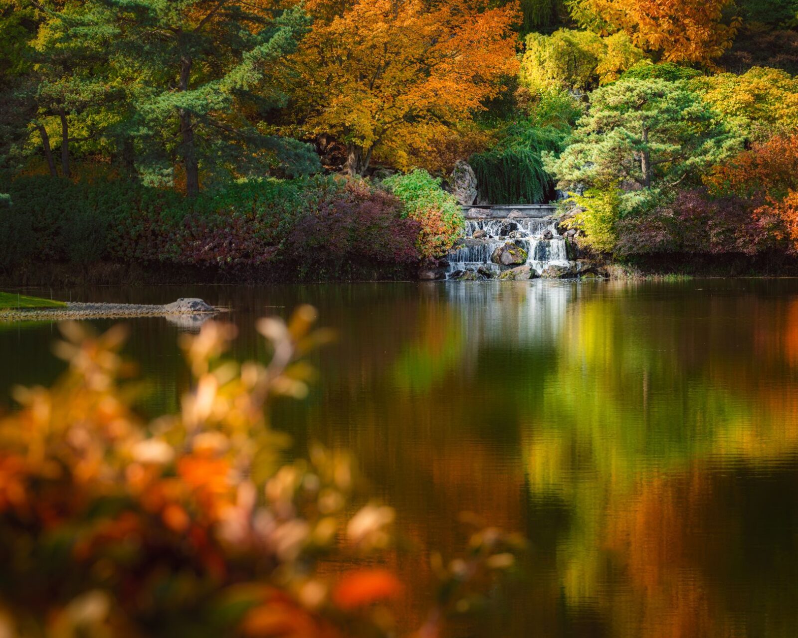 Don’t Rush From the Airport in Canada – Hamilton and More Could Become the Highlight of Your Trip - Photo by Skyler Ewing on Pexels