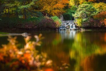 Don’t Rush From the Airport in Canada – Hamilton and More Could Become the Highlight of Your Trip - Photo by Skyler Ewing on Pexels