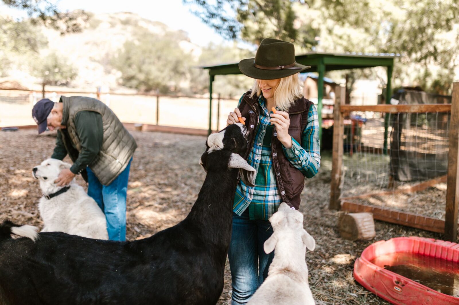 9 Hotels on Working Farms Where You Can Berry Pick, Hang Out With Animals, and Eat Fresh From the Field - Photo by RDNE Stock project on Pexels