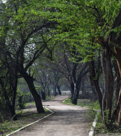 On a ‘Secrets of Central Park’ Tour, I Saw a Different Side of Manhattan’s Beloved Backyard - Photo by Harsh on Pexels