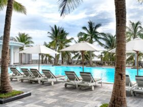 Did You Know That All Beaches Resorts Are Advanced Certified Autism Centers? Here's My Family's Experience - Photo by Quang Nguyen Vinh on Pexels