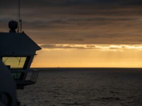 Budget Cruise Lines Ranked Which Ones Are Actually Worth It - Photo by Mr Alex Photography on Pexels