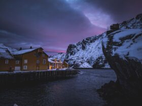 At Norway's Newest Island Retreat, Redefining the Relationship Between Community and Tourism - Photo by Francesco Ungaro on Pexels