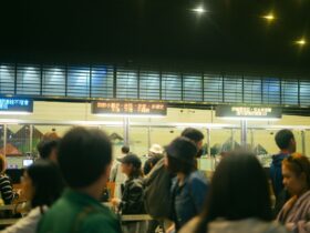 Statement on further issues concerning the Biometric Capability Upgrade (BCU) Project - Photo by Kenneth Surillo on Pexels