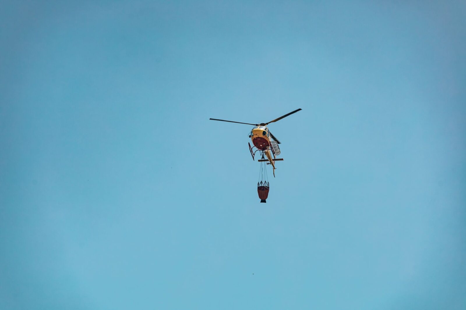 reno fire - Photo by Liane Ferreira on Pexels