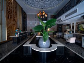 Lemon Tree Hotels Targets UAE, Thailand, and Maldives to Follow Indian Travelers Abroad - Photo by Quang Nguyen Vinh on Pexels