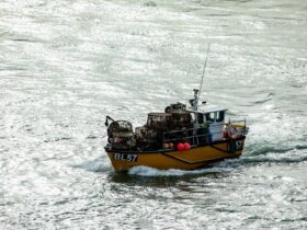 Latest statement in response to small boat crossings - Photo by Tony Zohari on Pexels