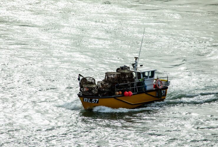 Latest statement in response to small boat crossings - Photo by Tony Zohari on Pexels