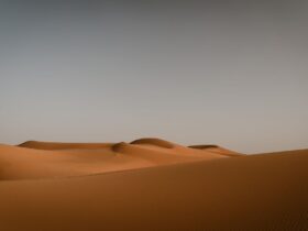 The Ultimate Guide to Exploring Morocco Beyond Marrakech - Photo by Ed Duvico on Pexels