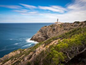 Majorca’s Hidden Coastal Treasure Overwhelmed as Selfie Tourism Fuels Unprecedented Traffic Pressure - Photo by Martin Klass on Pexels