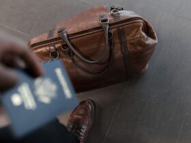 Passport Power Ranking Which Passports Open the Most Doors — Updated Guide - Photo by nappy on Pexels