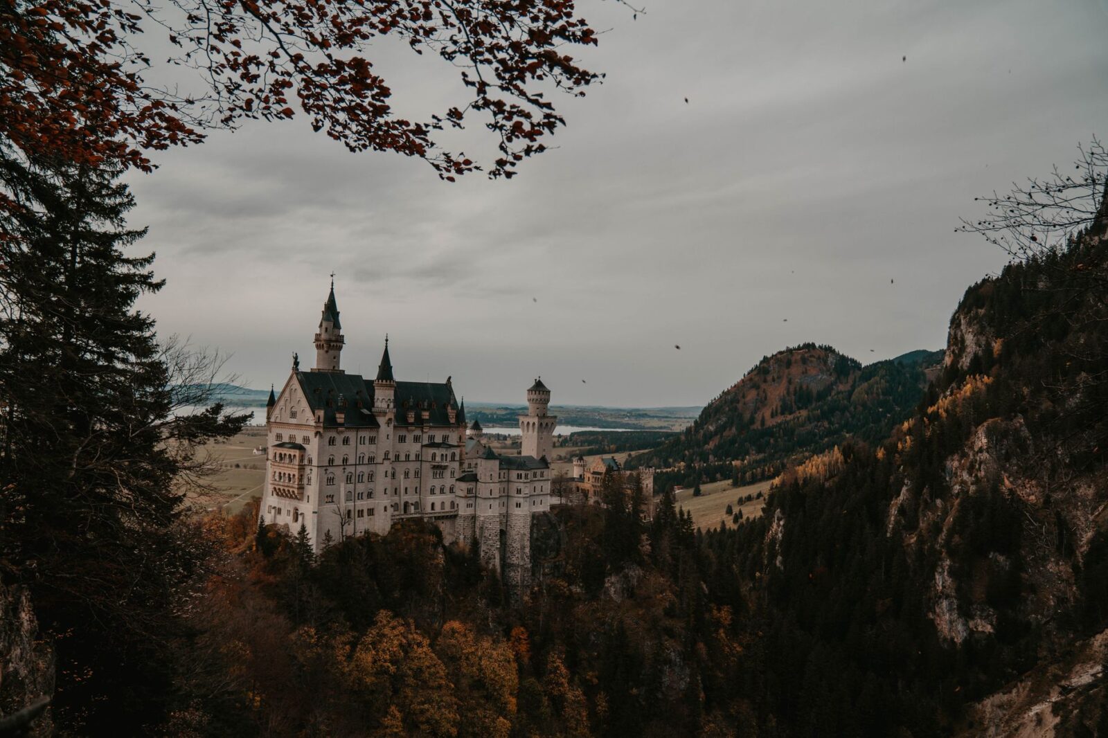 Germany Tourism Breaks Forward With Over 2% Tourist Rise As Europe Travel Powerhouse Gains Momentum - Photo by Taylor Marx on Pexels