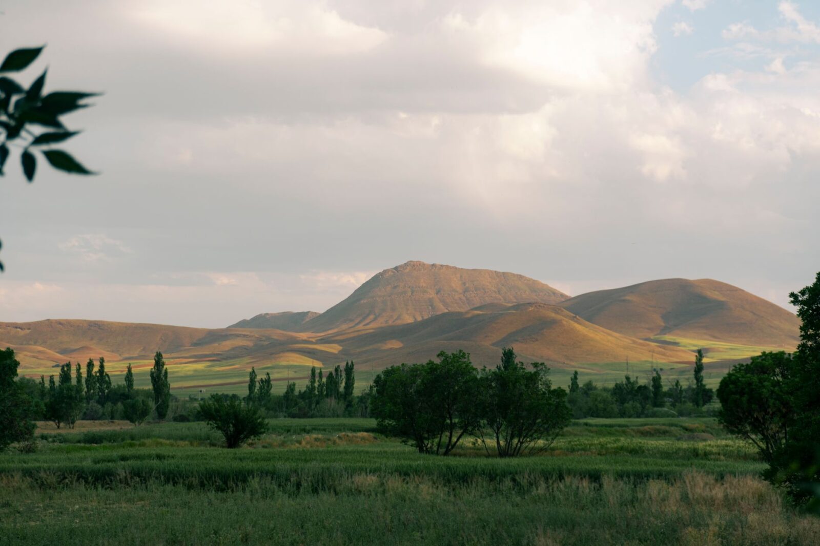 Joint statement on executions in Iran - Photo by Amir  sol on Pexels