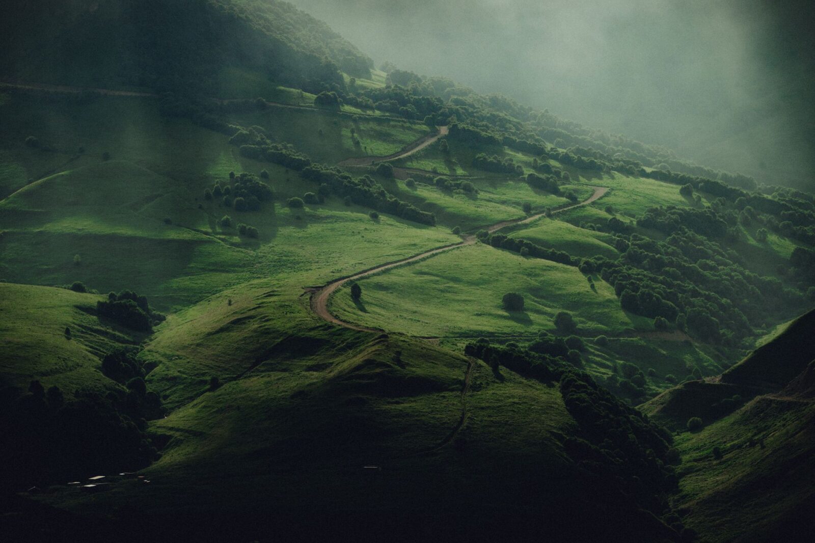 Level 3 - Ebola Bundibugyo Virus Disease in Haut-Uélé and Tshopo Provinces of the Democratic Republic of the Congo - Photo by Zaur Takhgiriev on Pexels