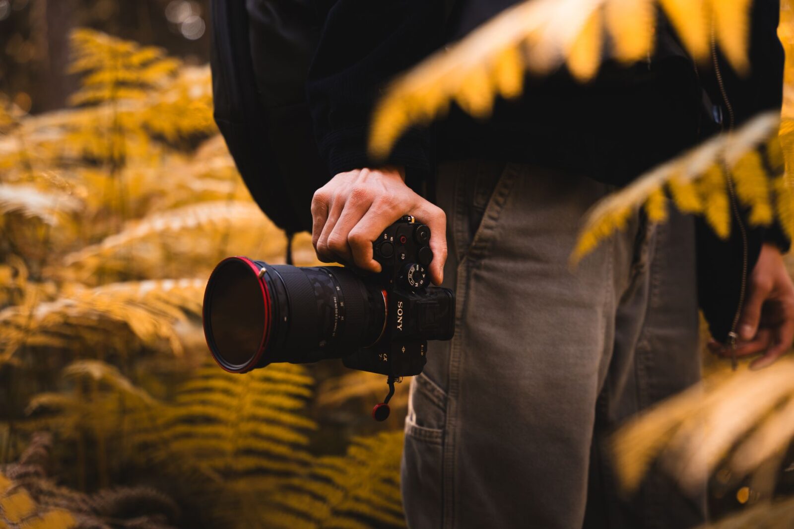 Canon Promo Code: Save 10% in August 2026 - Photo by İslam Abruev on Pexels