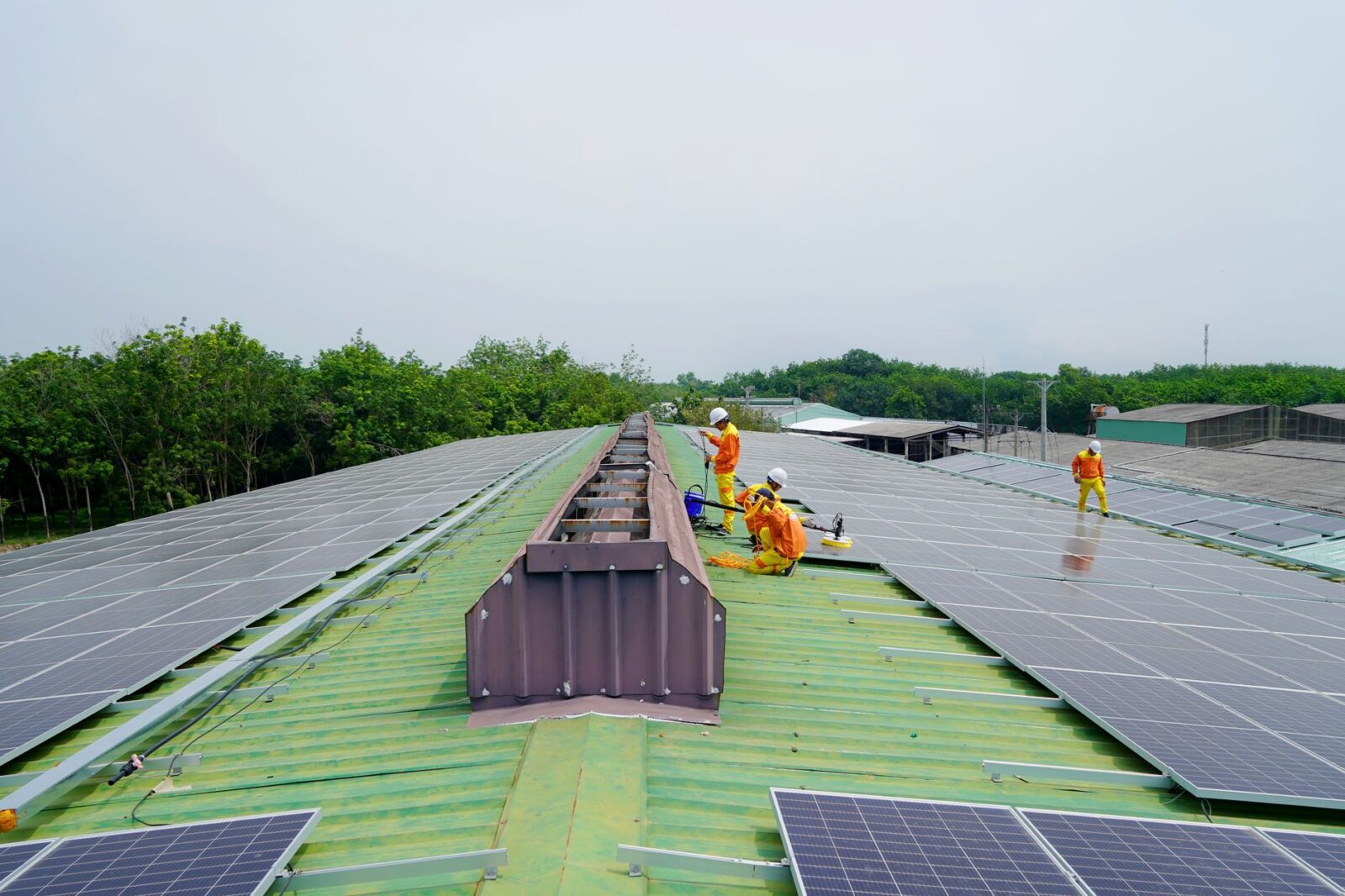 Latest crane lifts mark major progress on SIXEP Continuity Plant - Photo by Trinh Trần on Pexels