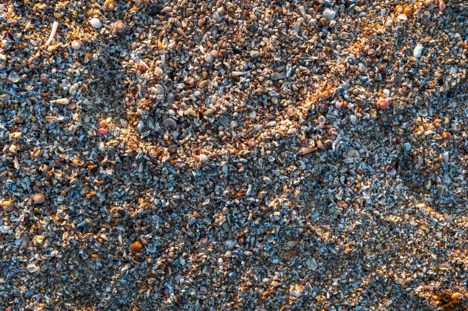 These Are Americans’ Worst Beach Habits—and 70% Admit to Doing the Grossest One - Photo by Aneesh Thazhathethil on Pexels