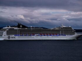 military cruise deals - Photo by Heather Soo on Pexels