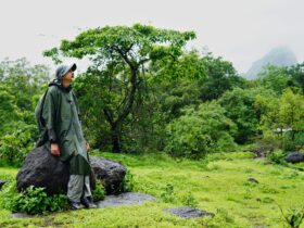 best places to visit in august in india - Photo by Ankit Rainloure on Pexels