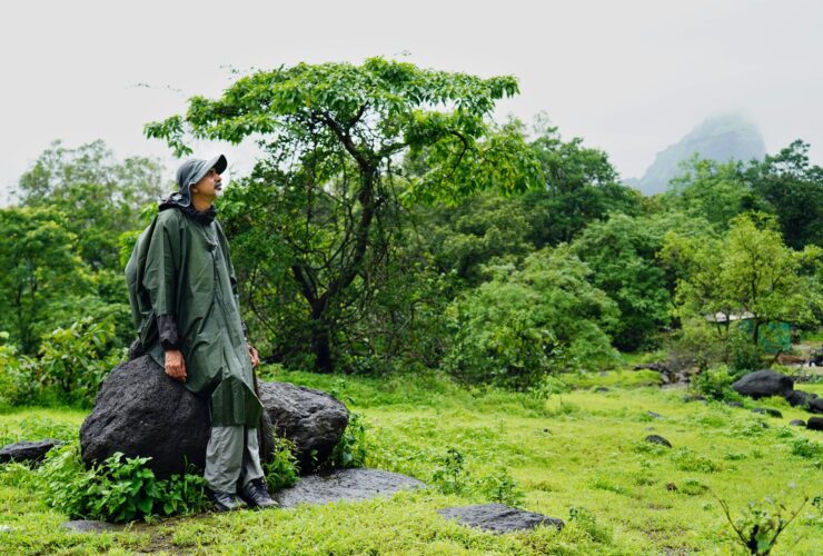 best places to visit in august in india - Photo by Ankit Rainloure on Pexels