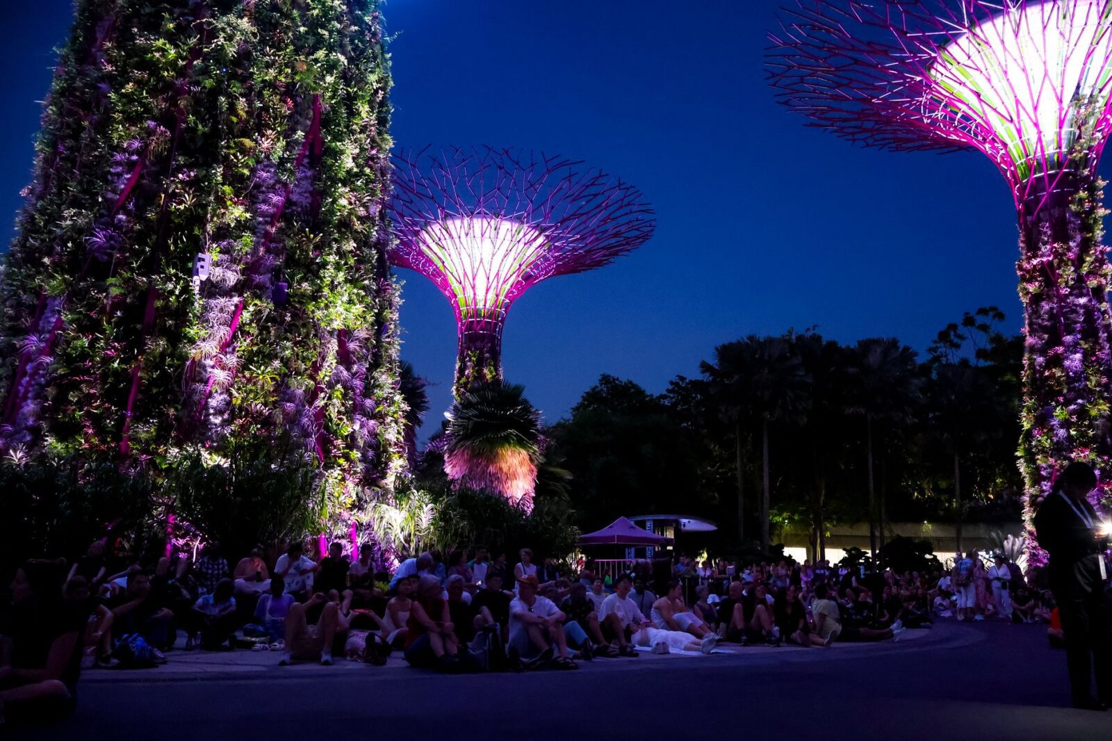 Singapore Strengthens Tourism Appeal As Boeing Training Campus Celebrates 20 Years Of Aviation Growth - Photo by Renata Meneses on Pexels