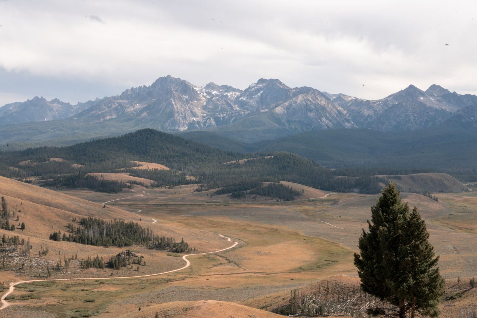 Illinois And Idaho Enter A Tourism Gold Rush As Unexpected Travel Giants Capture Millions In 2025–26 - Photo by Jenny Uhling on Pexels