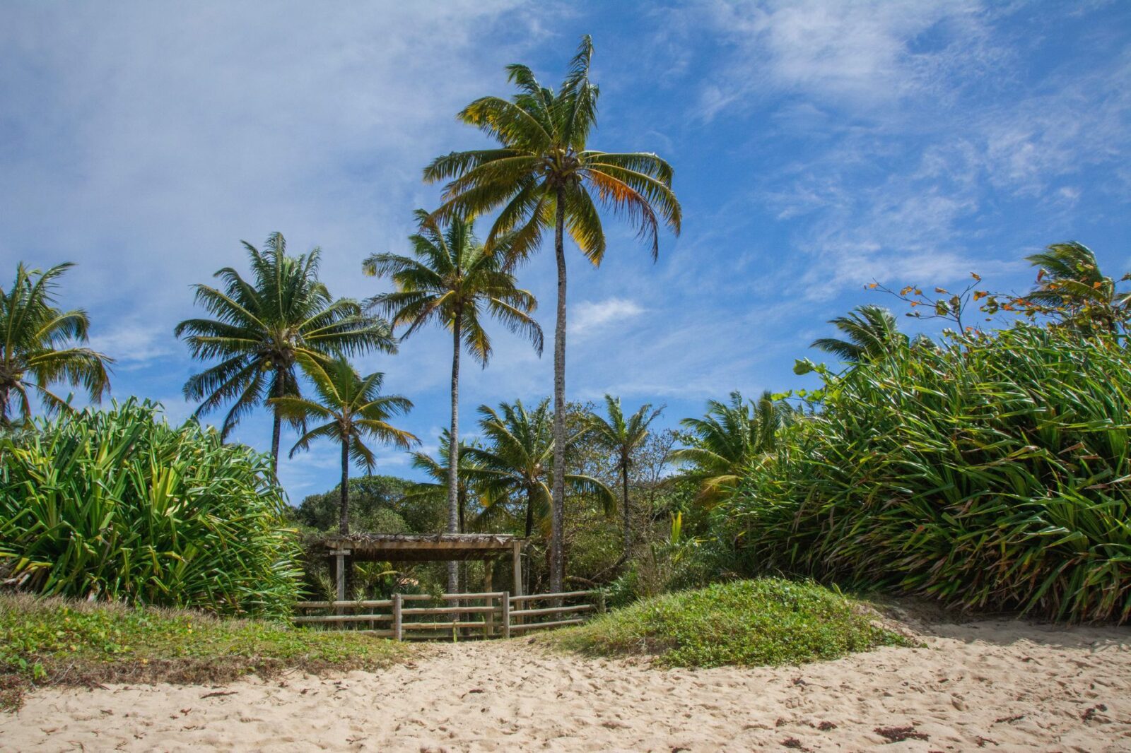 Alaska Cruise vs Caribbean Cruise Which Should You Choose - Photo by Jerson Martins on Pexels