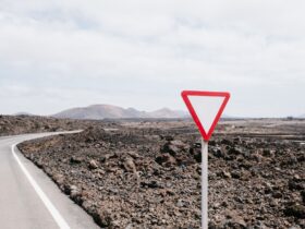 state department travel advisory - Photo by Mathias Reding on Pexels