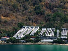 Inside the Financial Engineering of Club Med’s IPO - Photo by Vladyslav Dushenkovsky on Pexels
