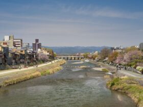 best places to visit in spring - Photo by Frank Lee on Pexels